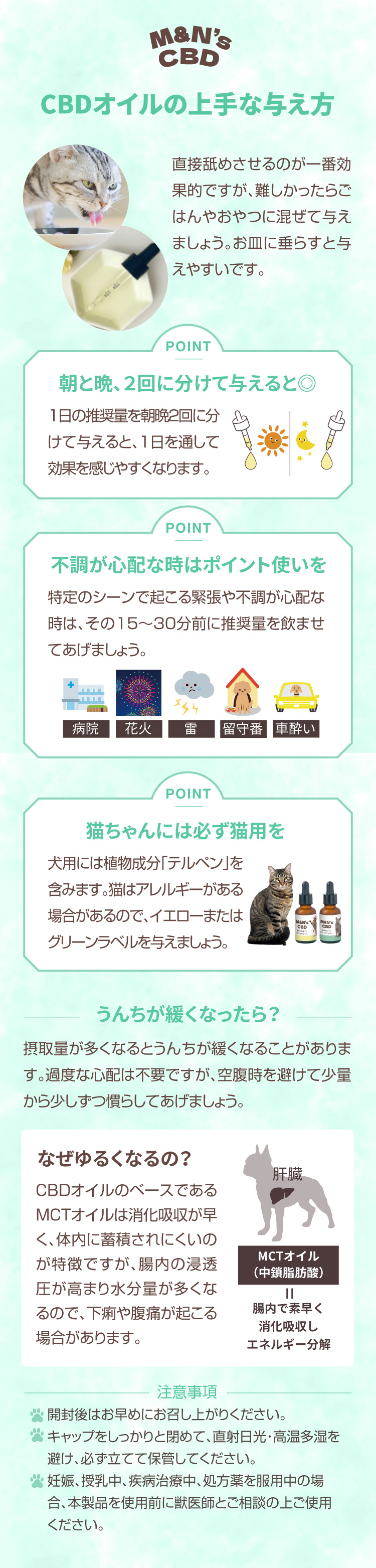 CBDオイル 与えるコツ 上手な与え方 【犬用CBDオイル】M&Ns(エムアンドエヌズ）CBD ペット用 オイル 犬用 100mg CBDオイル ペットグッズ ペットフード ドッグフード アイソレート 犬 猫 動物 カンナビジオール リラックス ストレス 健康 ペット用品 国内製造 国産 老犬 ケア 関節 車酔い てんかん 健康 介護用品 介護 分離不安 シニア犬 関節　mctオイル お試し