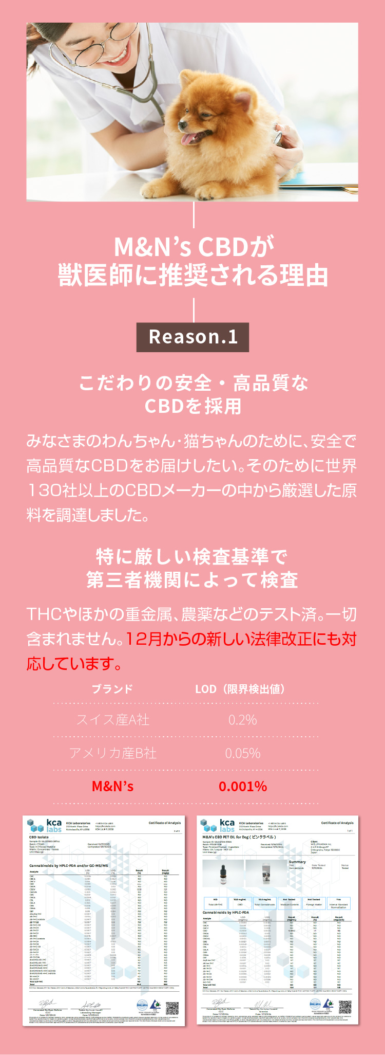 M&N's CBD 獣医師推奨 理由1【犬用CBDオイル】M&Ns(エムアンドエヌズ）CBD ペット用 オイル 犬用 100mg CBDオイル ペットグッズ ペットフード ドッグフード アイソレート 犬 猫 動物 カンナビジオール リラックス ストレス 健康 ペット用品 国内製造 国産 老犬 ケア 関節 車酔い てんかん 健康 分離不安 シニア犬 関節　mctオイル お試し サプリメント 夜泣き 介護用品 介護