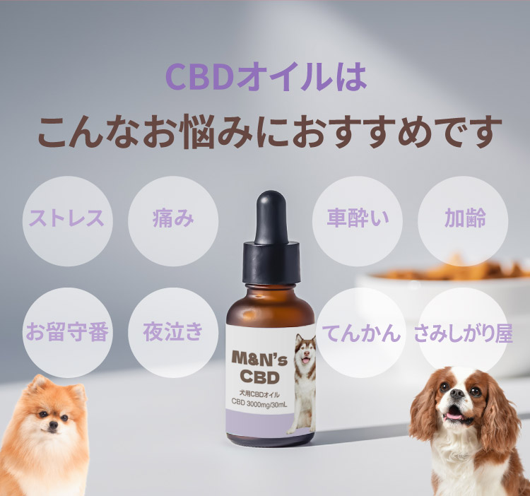 こんなお悩みにおすすめです【犬用CBDオイル】M&Ns(エムアンドエヌズ）CBD ペット用 オイル 犬用 100mg CBDオイル ペットグッズ ペットフード ドッグフード アイソレート 犬 猫 動物 カンナビジオール リラックス ストレス 健康 ペット用品 国内製造 国産 老犬 ケア 関節 車酔い てんかん 健康 分離不安 シニア犬 関節　mctオイル お試し サプリメント 介護用品 介護　夜泣き