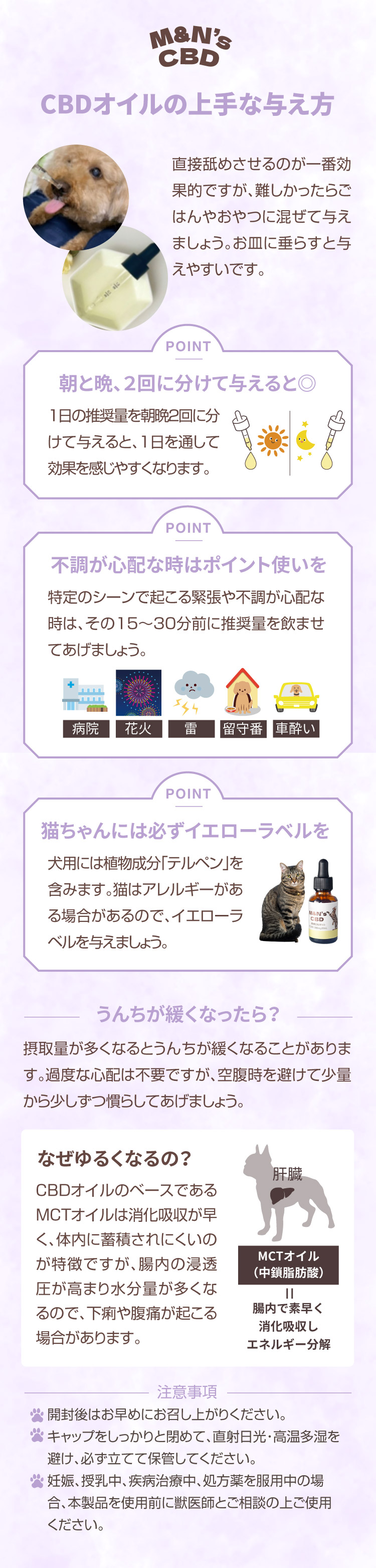 CBDオイル 与えるコツ 上手な与え方 【犬用CBDオイル】M&Ns(エムアンドエヌズ）CBD ペット用 オイル 犬用 100mg CBDオイル ペットグッズ ペットフード ドッグフード アイソレート 犬 猫 動物 カンナビジオール リラックス ストレス 健康 ペット用品 国内製造 国産 老犬 ケア 関節 車酔い てんかん 健康 介護用品 介護 分離不安 シニア犬 関節　mctオイル お試し