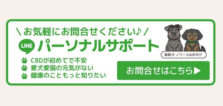 LINEで簡単パーソナルサポート 