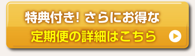 続けてお得な定期便の詳細はこちら 